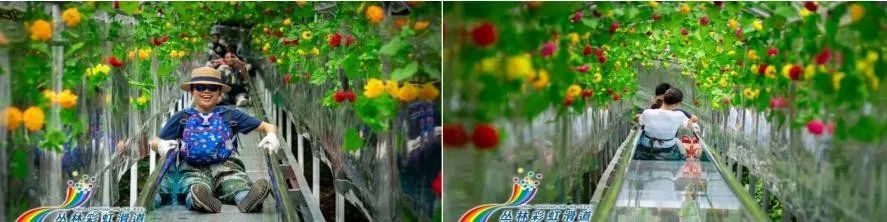 1638239695718823.jpg 1638239695718823.jpg