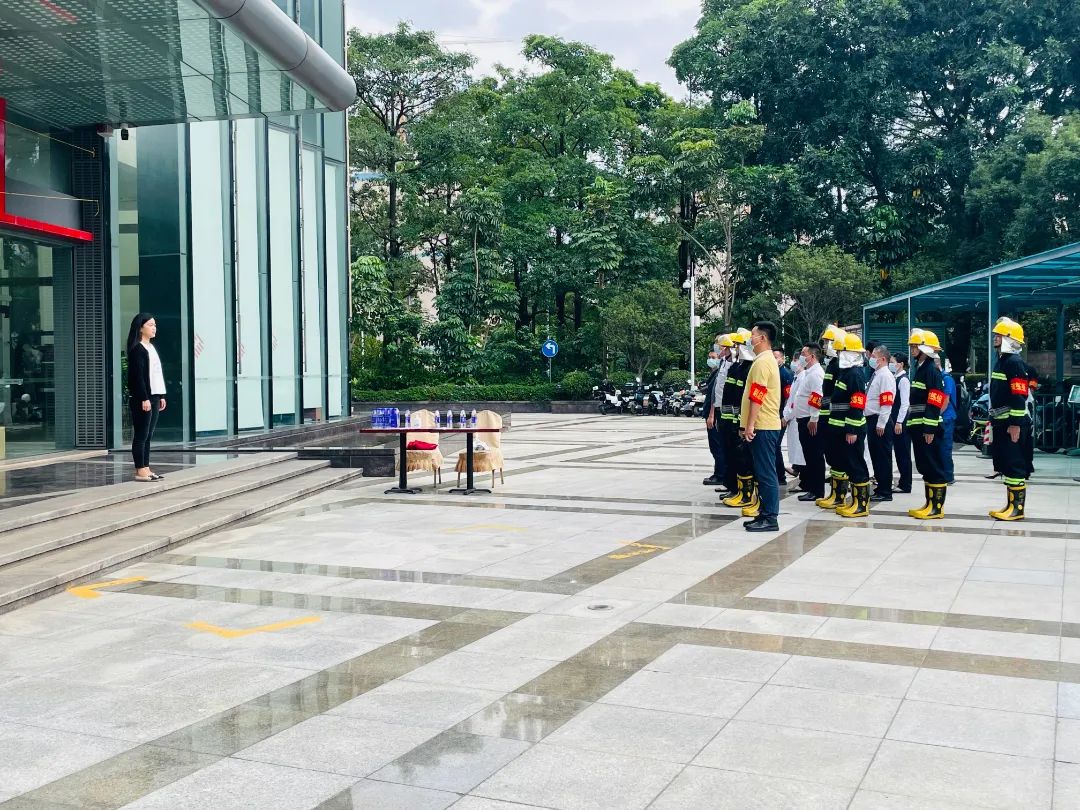 1668671731780145.jpg 10.jpg