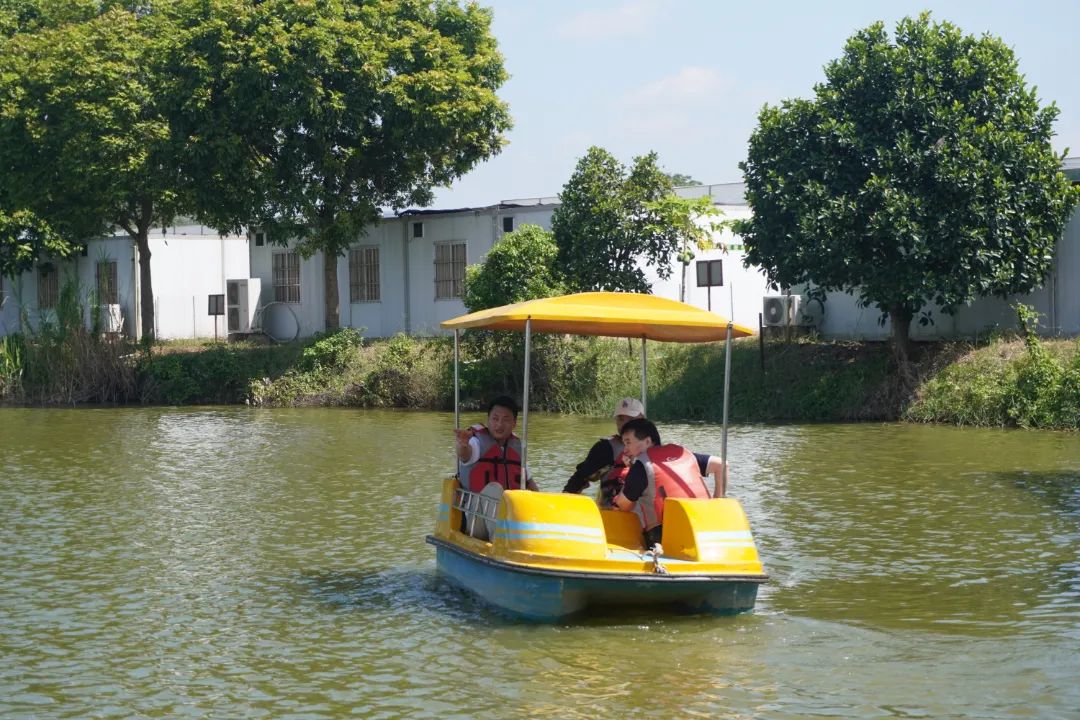 1698109312256932.jpg 1698109312256932.jpg