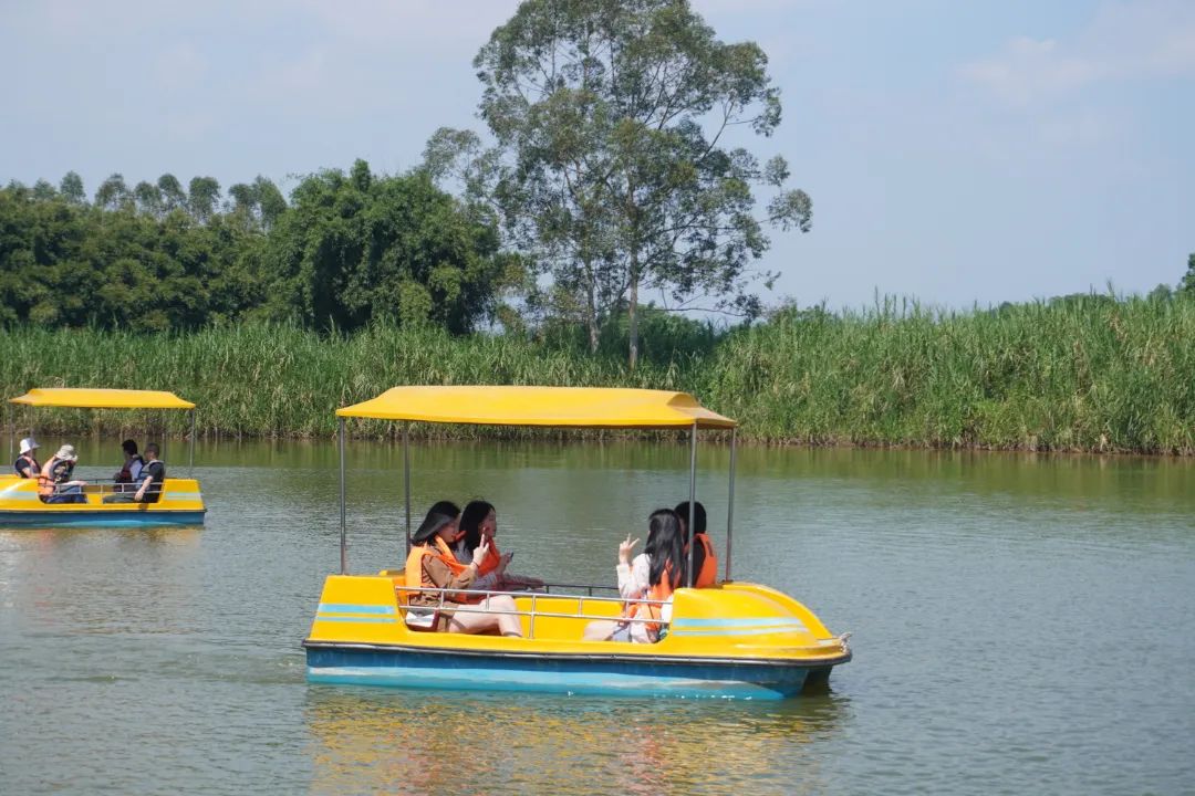 1698109312694754.jpg 1698109312694754.jpg