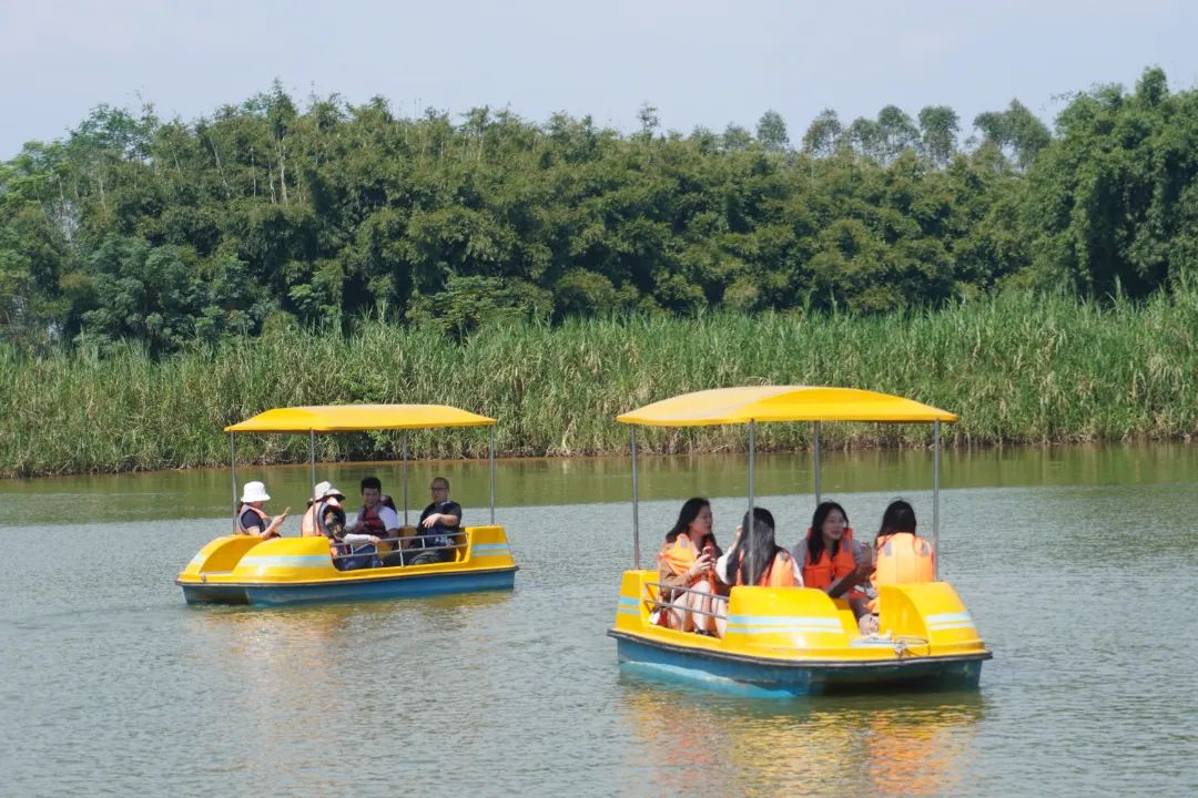 1698109312854441.jpg 1698109312854441.jpg