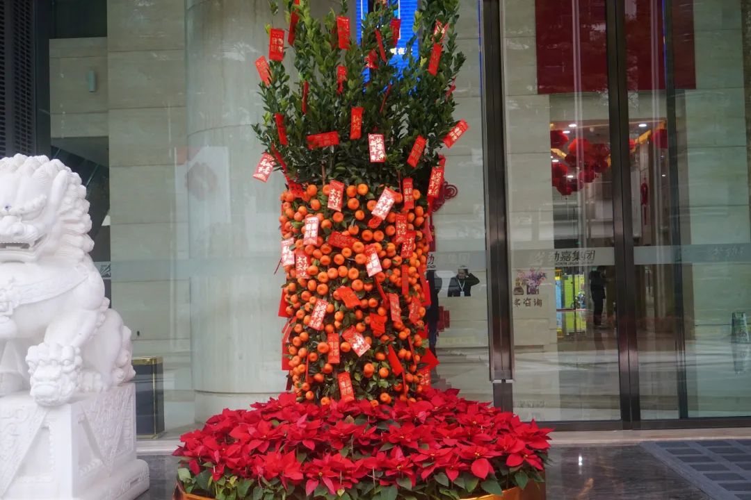 1708235304988334.jpg 1708235304988334.jpg